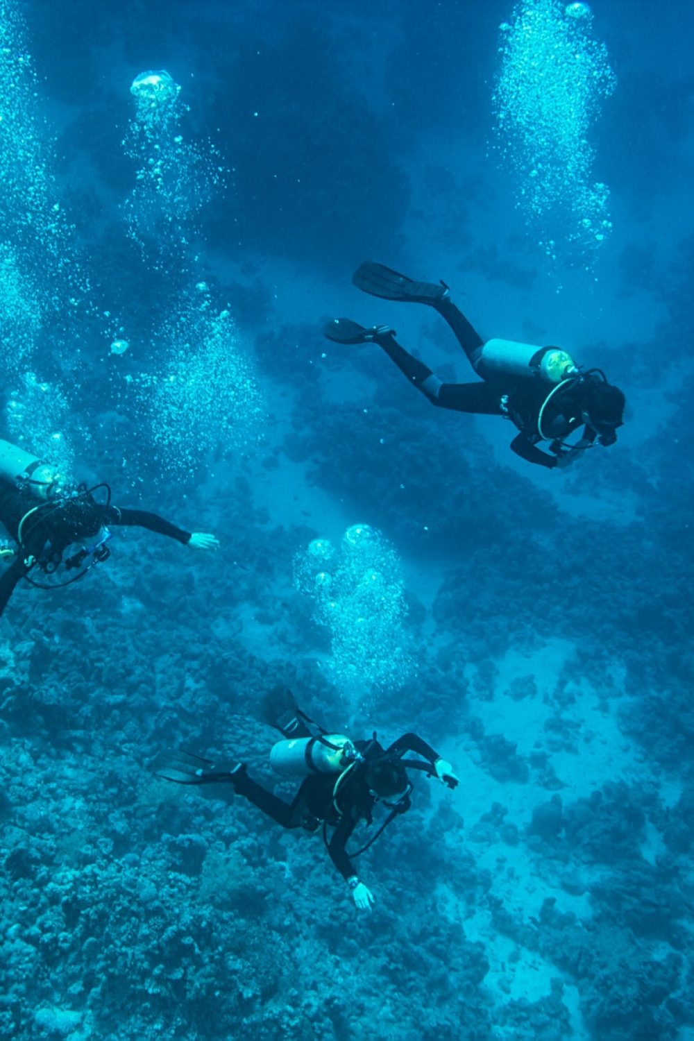 divers.jpg