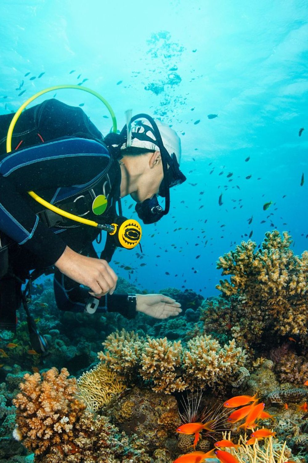Diving College | Curso de Mergulho em São Paulo