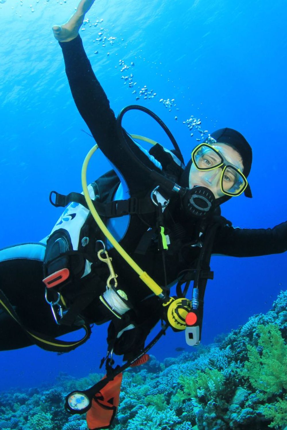 Diving College | Curso de Mergulho em São Paulo