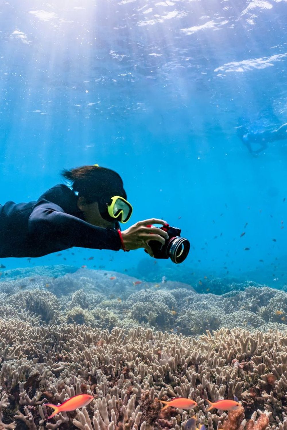 Diving College | Curso de Mergulho em São Paulo