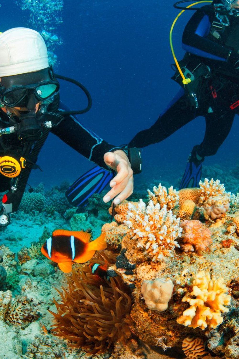 Diving College | Curso de Mergulho em São Paulo