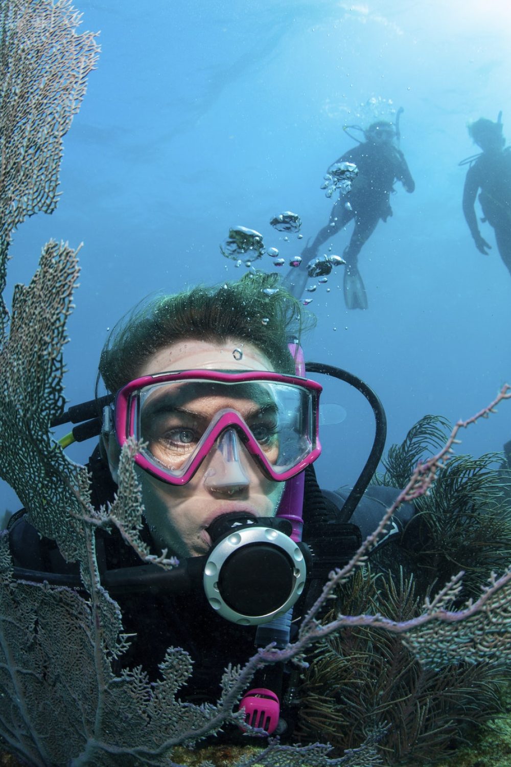 scuba-diver-framed-by-sea-fan-.jpg